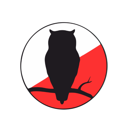 Sowa Puszczykowo